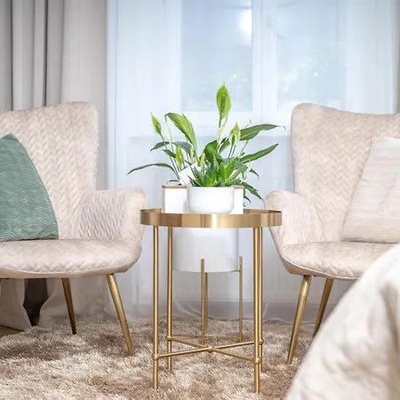 Spacious 2Br Apartment - 90M2 - Parking - 4Min Colonnade Lägenhet Mariánské Lázně