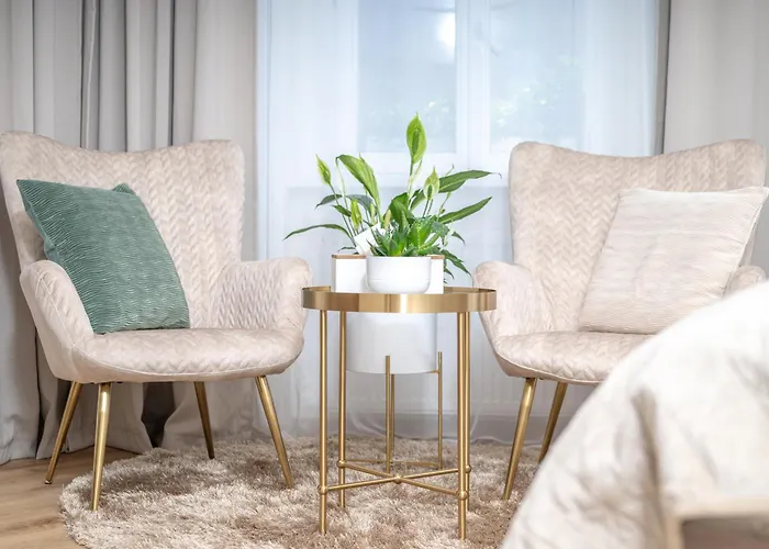 Spacious 2Br Apartment - 90M2 - Parking - 4Min Colonnade Lägenhet Mariánské Lázně